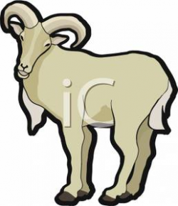 Mountain Goat - Clipart. \
