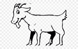 Mountain Goat Clipart Gote - Goat Cli Part Black And White - Png ...