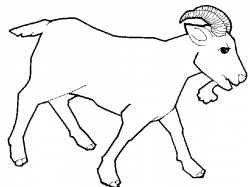 Free Goat Cliparts, Download Free Clip Art, Free Clip Art on Clipart ...