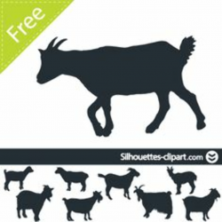 Free Pygmy Goat Cliparts, Download Free Clip Art, Free Clip Art on ...
