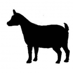 Pygmy Goat Cliparts - Cliparts Zone