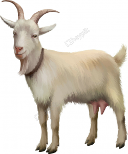 Free Goat Clipart realistic, Download Free Clip Art on Owips.com
