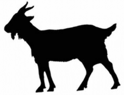 37 Best Goat Clipart for CornerStone Grafix images in 2018 ...