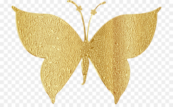 Butterfly Clip Art clipart - Butterfly, Gold, Metal ...