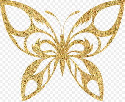 Gold Drawing clipart - Butterfly, Silhouette, Drawing ...