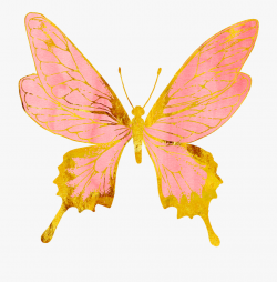 butterflies #butterfly #pastel #pink #rosegold #gold ...