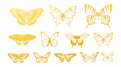 Gold - Butterfly 02