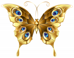 Gold Butterfly PNG Clip Art Image | Gallery Yopriceville ...