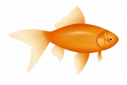 Fish Clipart One - Goldfish Clipart {#96509} - Pngtube