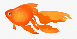 Goldfish Vector Fish Top View - Goldfish Clipart Png #2527 ...