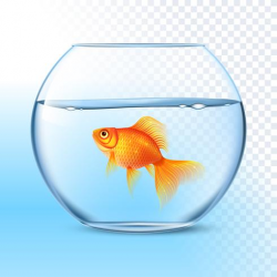Goldfish In Water Bowl Realistic Image - Download Free ...