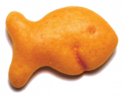 Goldfish snack clipart – Gclipart.com
