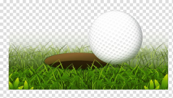Golf ball , Golf ball Golf club Hole, Realistic golf hole ...