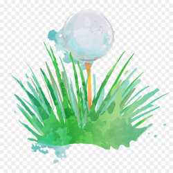 Golf Grass png download - 1000*1000 - Free Transparent Golf png ...