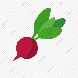 Radish Clipart Icon, Icon, Social Media Icons, Camera Icons PNG ...