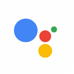 Google Japan Giphy Gifs - Shohei Higa
