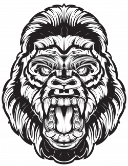 Vector Head Gorilla - Angry Gorilla Drawing Png - Download ...