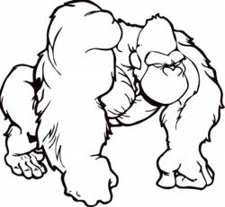 Easy Gorilla Drawing | Free download best Easy Gorilla ...