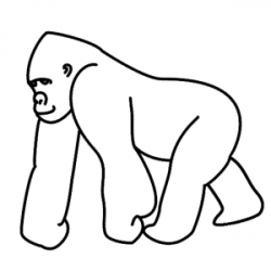 Gorilla Drawing For Kids | Free download best Gorilla ...