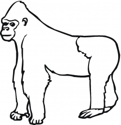 Gorilla Ape | Clipart library - Free Clipart Images - Clip ...