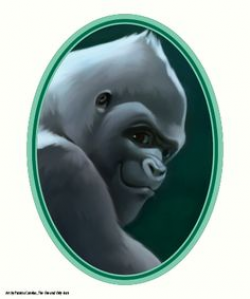 The One and Only Ivan: bob, book reports, en, ivan, julia ...