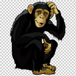Orangutan Monkey Chimpanzee , Black gorilla PNG clipart ...
