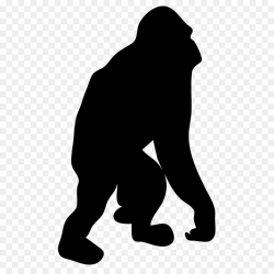 Gorilla Cartoon clipart - Drawing, Black, Silhouette ...