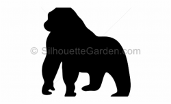 Silhouette Of Gorilla Free PNG Images & Clipart Download ...