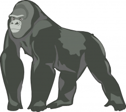 Gorilla standing clipart images gallery for free download ...