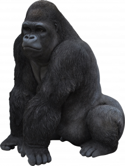 Gorilla Sitting Ideal PNG Transparent Image #8 - Free ...