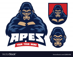 Gorilla crossed hands