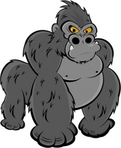 Gorilla free vector download (56 Free vector) for commercial ...