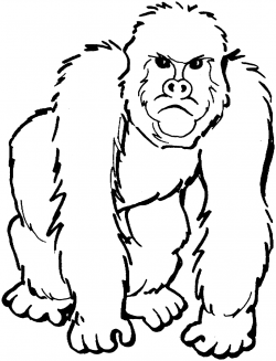 Best Gorilla Clipart Black and White #29872 - Clipartion.com