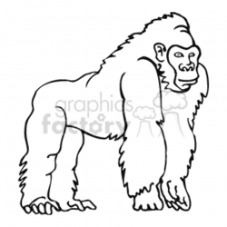 black and white ape on fours clipart. Royalty-free clipart # 129297