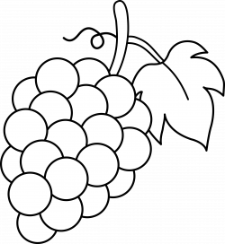 Line Art of a Bunch of Grapes | Grape drawing, Fruit ...