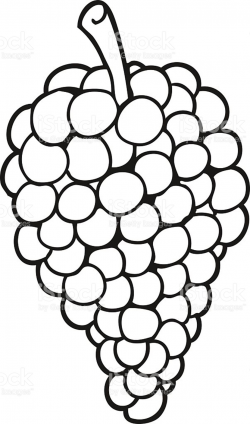 Grapes Black And White | Free download best Grapes Black And ...