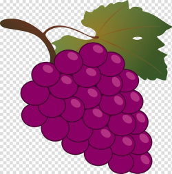 Common Grape Vine Wine Grappa , Bunch of grapes transparent ...