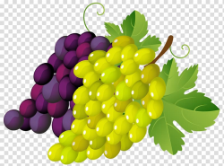 Bunch of grapes , Grapevines .xchng , Painted Grapes ...