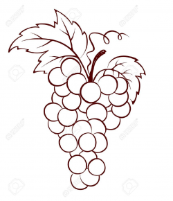 Bunch Stock Vector Illustration And Royalty Free Bunch ...