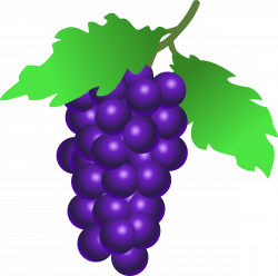Grape clipart bunch grape, Grape bunch grape Transparent ...