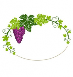 vector grapes leaves borders drawing - Google Search ...