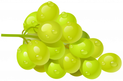 Free White Grapes Cliparts, Download Free Clip Art, Free ...