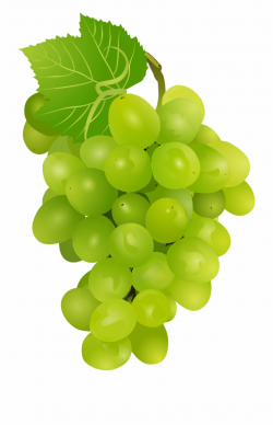 Download for free 10 PNG Grape clipart green top images at ...