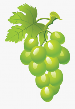 Grapes Clipart - Green Grapes Grapes Clipart , Transparent ...