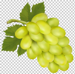 Sultana Grape Rosé , White Grape , green grapes PNG clipart ...