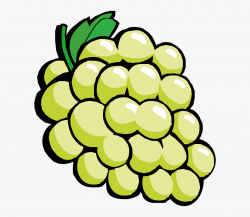 Grapes Fruit Wine Green Vitamins - Green Grapes Clip Art ...