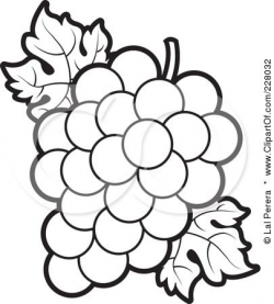 g is for grapes | Coloring pages, Flower outline, Clip art