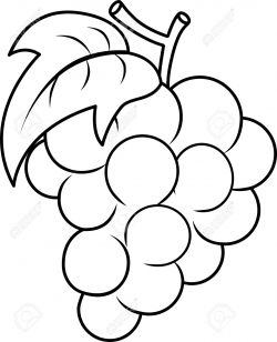 White Grapes Cliparts | Free download best White Grapes ...