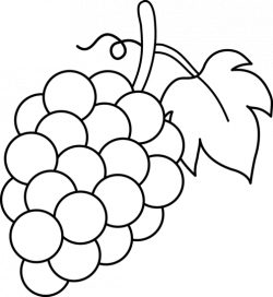 Free Grape Outline, Download Free Clip Art, Free Clip Art on ...