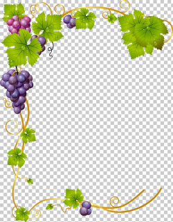 Common Grape Vine Wine, brown frame, green and purple fruit ...